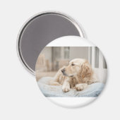 Aimant 34137641_xxl (Recto/Verso)