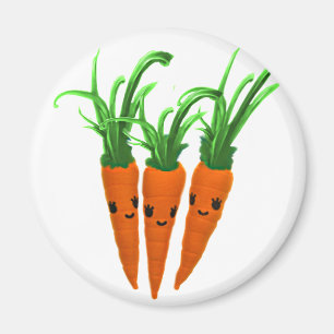 Aimant 3 carottes