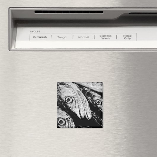 AIMANT 4 (In Situ (Lave-vaisselle))