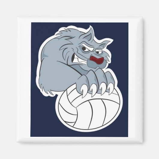 Aimant 49ers | Calamita (Devant)