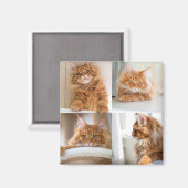 Aimant 4 Collage de quatre photos complet (Recto/Verso)