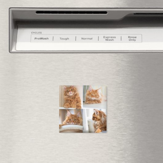 Aimant 4 Collage de quatre photos complet (In Situ (Lave-vaisselle))