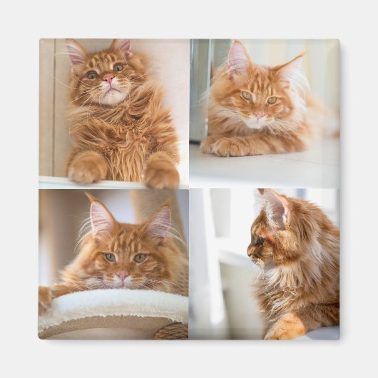 Aimant 4 Quatre Photos Collage Complet (Devant)