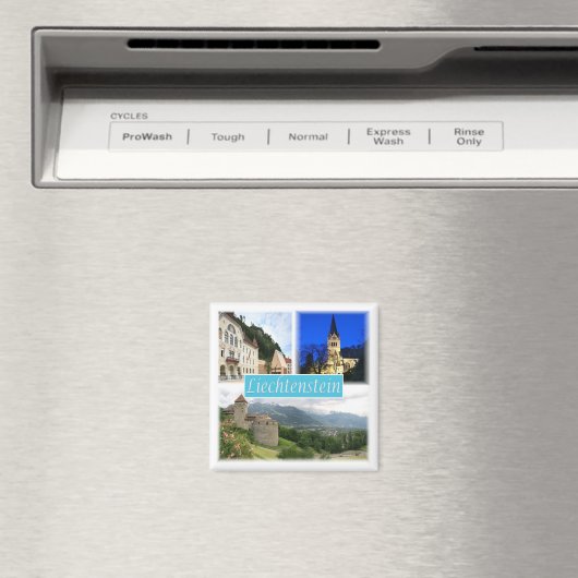 AIMANT 50 (In Situ (Lave-vaisselle))