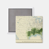 Aimant 52 Coton 1890 (Recto/Verso)