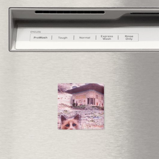 Aimant 5,1 Cm Carré (In Situ (Lave-vaisselle))