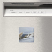 Aimant 6-nov (In Situ (Lave-vaisselle))