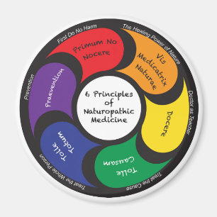 Aimant - 6 principes de médecine de naturopathiqu