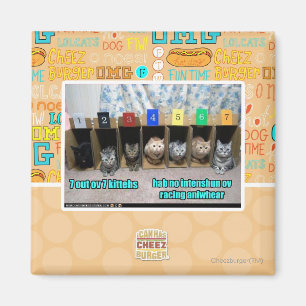 Aimant 7 kittehs d'OV 7