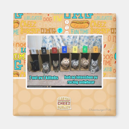 Aimant 7 out ov 7 kittehs (Devant)