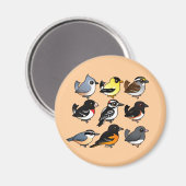 Aimant 9 Oiseaux de Jardin du nord-est des États-Unis (Recto/Verso)