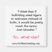 Aimant à balai (Devant)