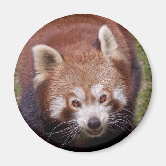 Aimant à bandits (Devant)