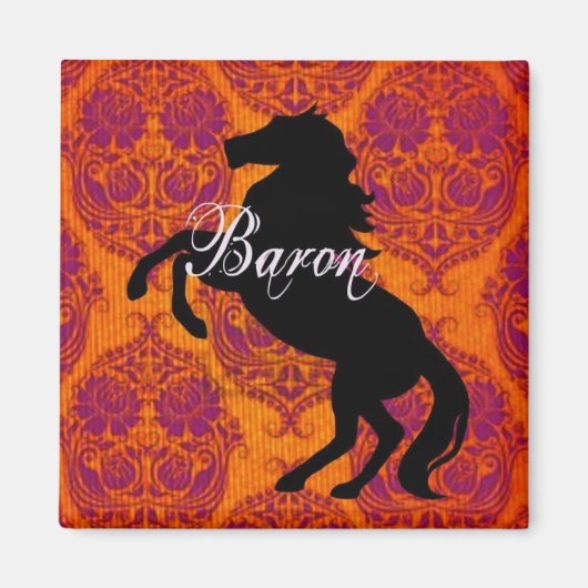 Aimant à baron (Devant)