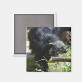 Aimant à base asiatique (Recto/Verso)