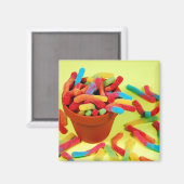 Aimant à bonbons coloré (Recto/Verso)