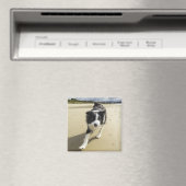 Aimant A Border Collie Dog Running (In Situ (Lave-vaisselle))