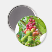 Aimant à café (Recto/Verso)