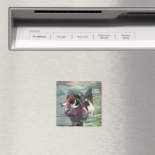 Aimant à canard de bois (In Situ (Lave-vaisselle))