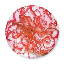 Aimant à carnation rouge