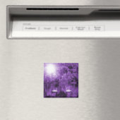 Aimant à chanter de cygne (In Situ (Lave-vaisselle))