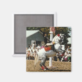 Aimant à cheval Lippizan (Recto/Verso)