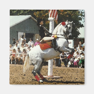 Aimant à cheval Lippizan