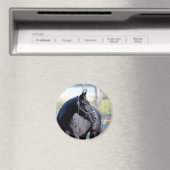 Aimant à cheval Thoroughbred (In Situ (Lave-vaisselle))