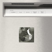 Aimant à cochon à ventre (In Situ (Lave-vaisselle))