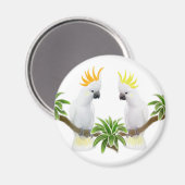 Aimant à cokatoïde Citron et soufre (Recto/Verso)