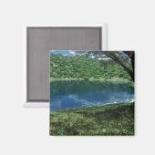 Aimant À côté de l'aimant des eaux profondes (Recto/Verso)