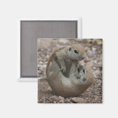 Aimant à crampe d'écureuil (Recto/Verso)