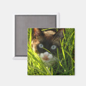 Aimant à crêpe (Recto/Verso)