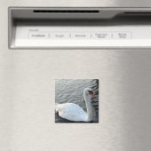Aimant à cygne blanc (In Situ (Lave-vaisselle))