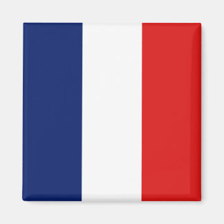 Aimant à drapeau Guyane