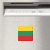 Aimant à drapeau lituanien (In Situ (Lave-vaisselle))