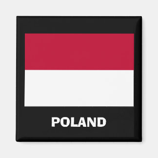 Aimant à drapeau Pologne*