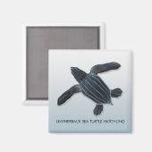Aimant à écorce de tortue luth (Recto/Verso)