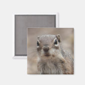 Aimant à écureuil à visage de Donut au chocolat (Recto/Verso)