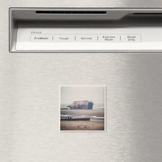 Aimant à épave de Riverdance (In Situ (Lave-vaisselle))