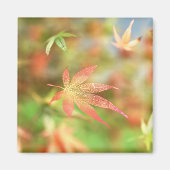 Aimant à fibres d'automne (Devant)