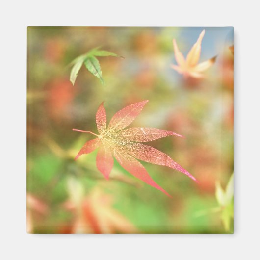 Aimant à fibres d'automne (Devant)