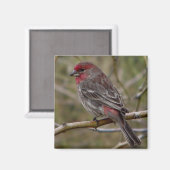 aimant à finition violette (Recto/Verso)