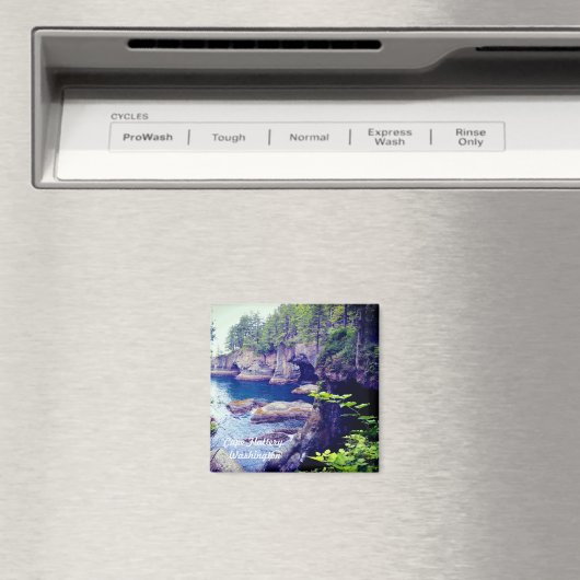 Aimant à flatterie du Cap (In Situ (Lave-vaisselle))