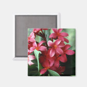 Aimant à fleur (Recto/Verso)