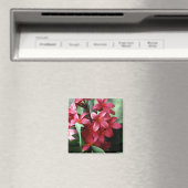 Aimant à fleur (In Situ (Lave-vaisselle))