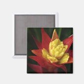 Aimant à fleur (Recto/Verso)