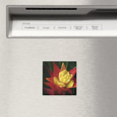 Aimant à fleur (In Situ (Lave-vaisselle))