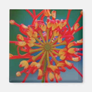 Aimant à fleur Abstrait