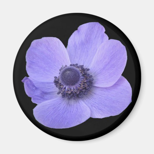Aimant à fleur d'anémone bleu (Devant)